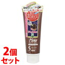 《セット販売》 三宝 テンスター ヘナ カラートリートメント 5 ブラウン (250g)×2個セット ヘナトリートメント