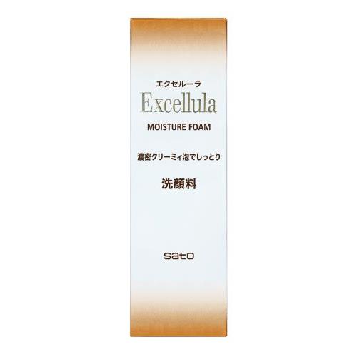 佐藤製薬 エクセルーラ モイスチュアフォーム 120g 洗顔 毛穴 くすみ 無香料 無着色 敏感肌