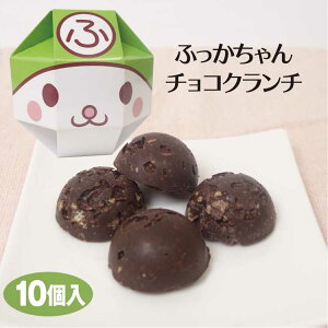 埼玉 お土産 ふっかちゃんチョコクランチ10個入 埼玉みやげ おみやげ ふっかちゃん ゆるきゃら 深谷市 深谷ねぎ チョコレート お菓子 土産　おすそ分け かわいい ケヤキ堂【夏季冷蔵】