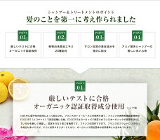 オルナオーガニックシャンプー&トリートメント無添加ノンシリコンアミノ酸系洗浄/ヒアルロン酸コラーゲンビタミンC誘導体セラミド配合ボトル500ml&500mlALLNAORGANIC