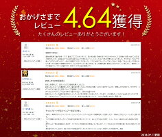オルナオーガニックシャンプー&トリートメント無添加ノンシリコンアミノ酸系洗浄/ヒアルロン酸コラーゲンビタミンC誘導体セラミド配合ボトル500ml&500mlALLNAORGANIC
