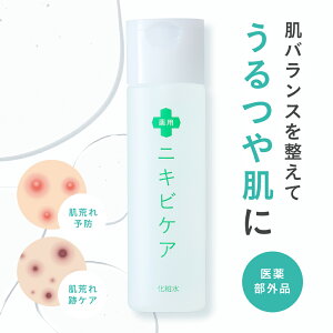 化粧水 にきび ニキビケア 毛穴 大人 ニキビ 用薬用 ニキビ ケア「 あご おでこ 鼻 ニキビ アクネ 対策」「 毛穴をひきしめサラサラに 」メンズ ＆ レディース 120ml