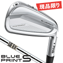★現品限り★ピン ブループリント S パワースペックロフト アイアン 5本セット (#6/#7/#8/#9/PW) DG スチールシャフト 右利き用 PING BLUE PRINT S POWER SPEC ダイナミックゴールド アイアンセット※代金引換対応不可