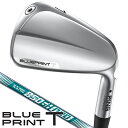 ピン ブループリント T アイアン 6本セット(#5/#6/#7/#8/#9/PW) N.S.PRO 850GH neo 右利き用 ピン BLUEPRINT T...
