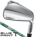 ピン ブループリント T アイアン 単品(#3/#4) N.S.PRO 950GH neo 右利き用 ピン BLUEPRINT T 単品アイアン