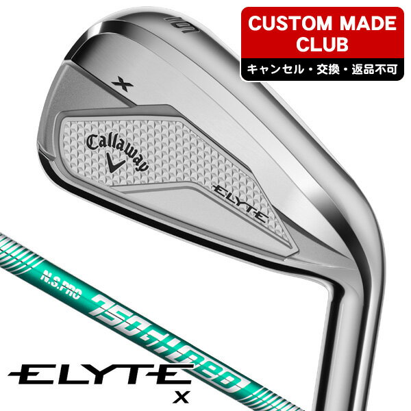 ꡼ X  ñ #5/AW/GW/SW N.S.PRO 750GH neo   ELYT...