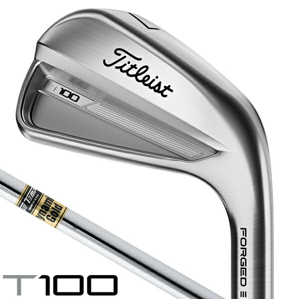 楽天市場】タイトリスト mb アイアン ダイナミックゴールド x100 楽天市場】タイトリスト mb アイアン ダイナミックゴールド x100