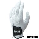 ピン 2023 GL-P2301 ゴルフ手袋 右手着用 珍しい おしゃれ おすすめ 人気