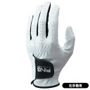 ピン 2023 GL-P2302 ゴルフ手袋 右手着用 珍しい おしゃれ おすすめ 人気