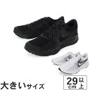 【マラソン期間エントリーで最大P10倍】【値下げしました】大きいサイズ【29cm 30cm 31cm】NIKE ナイキ RUN DEFY ランデファイ HM9594-002 HM9594-102