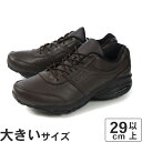 リーボック 大きいサイズ 【29cm 30cm 31cm】Reebok(リーボック) RAINWALKER DASH DMX XW 4E(レインウォーカー ダッシュ DMX XW 4E) 100071959 M48149 ダークブラウン/ブラック