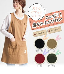 https://thumbnail.image.rakuten.co.jp/@0_mall/tsuruyakagu/cabinet/io/w-apron-smn_01.jpg