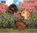 2026年 LANG社(ラング)カレンダー パピー(Puppy)