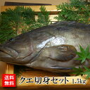 【送料無料】幻の魚 クエの切り身セット　1.5kg クエ鍋用の切り身・ブツ切り お刺身・しゃぶしゃぶ用の三枚おろしのダブルセット くえ あら アラ鍋 鍋物