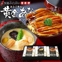 【母の日】贈り物に最適 各種のし対応 長崎県対馬産黄金あなごギフトセット あなご亭 あなご重 あなご茶碗蒸し ブランド穴子 対馬あなご 対馬西沖 黄金アナゴ 対...