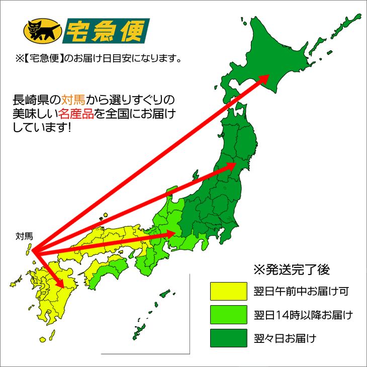 贈り物に最適 各種のし対応　長崎県対馬産干物ギフト ★Cセット　丸徳水産　スルメイカ一夜干し　剣先イカ刺身用　アジ開き　カマス開き　サンマみりん干し　サバみりん干し　ひもの　塩干　和食　【楽ギフ_包装】【楽ギフ_のし】【楽ギフ_のし宛書】