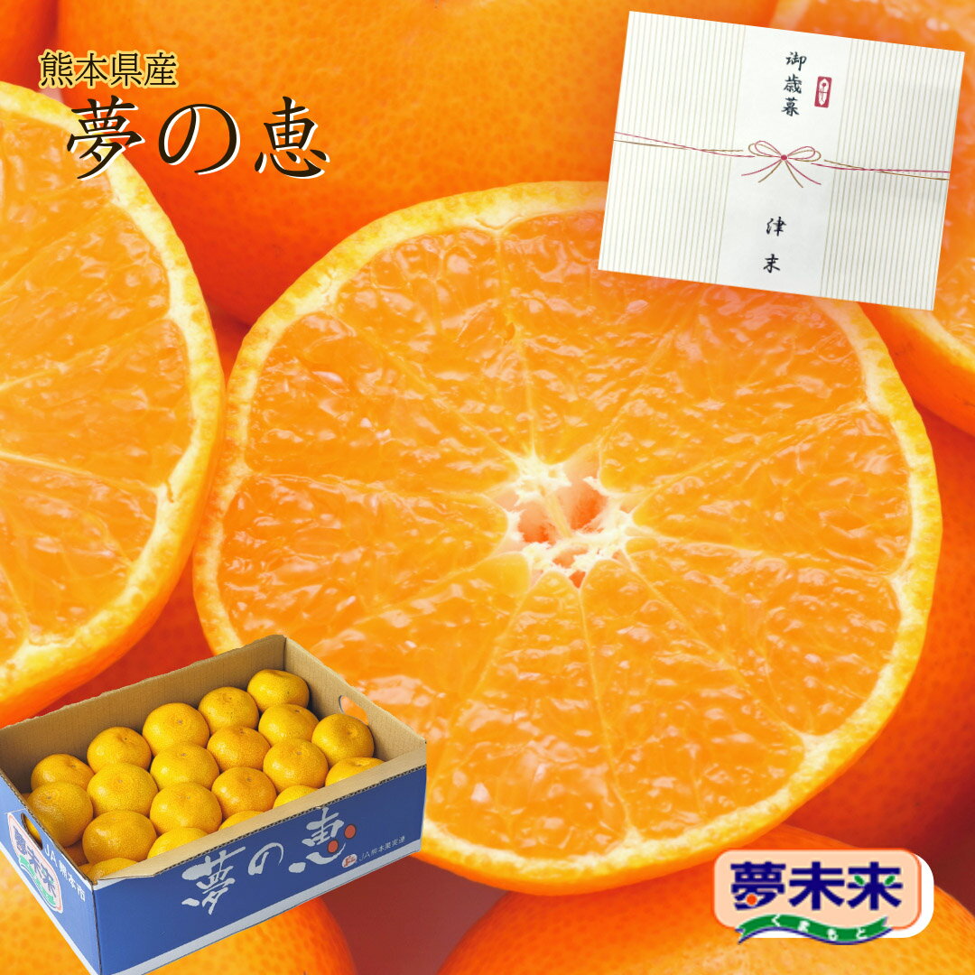 【熊本県産　夢未来みかん　夢の恵　3.0kg　4.0kg】JA熊本市の特選ブランド夢未来みかん夢の恵　　高糖度　糖度12℃以上　熊本市　温州みかん　河内みかん　熊本みかん　フルーツギフトのサムネイル