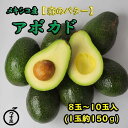 【メキシコ産　アボカド　8〜10玉入】1玉約150g　約1