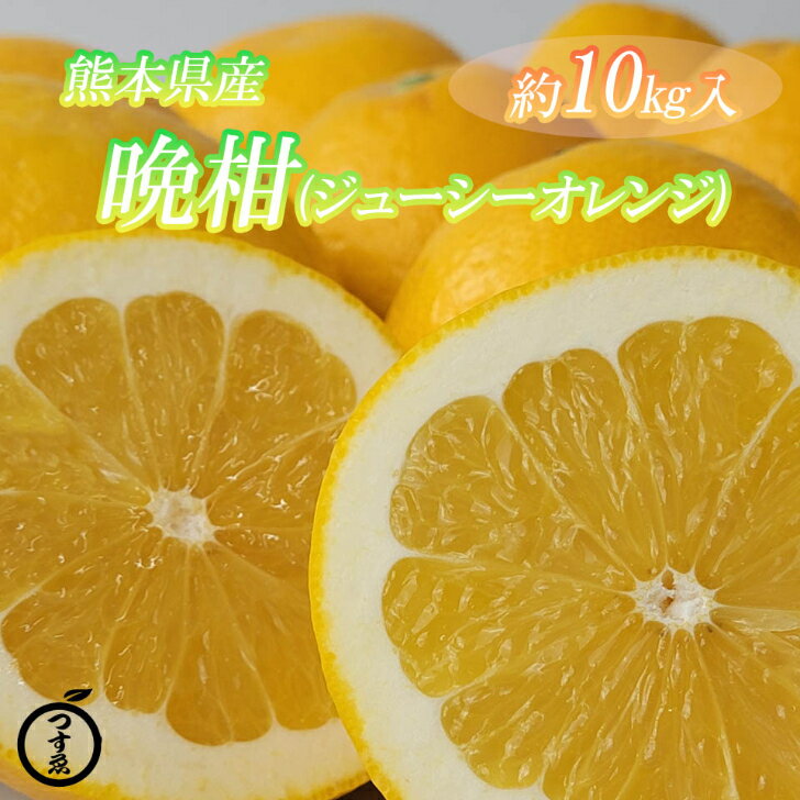 全国お取り寄せグルメ食品ランキング[あまなつ(121～150位)]第146位