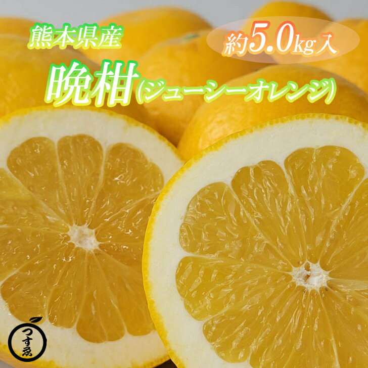 【熊本県産　河内晩柑　ジューシーオレンジ　約5K】熊本の特産　河内晩柑をお届けいたします。　河内晩..