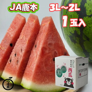 ご予約承り中【熊本県産JA鹿本　夢大地西瓜　3L〜2L　1玉入】すいか　祭ばやし　名産地　糖度11度以上　光センサー　植木　山鹿　玉名　上益城　今が旬　甘い　フルーツ　フルーツギフト　果物　贈り物　贈答用　送料無料