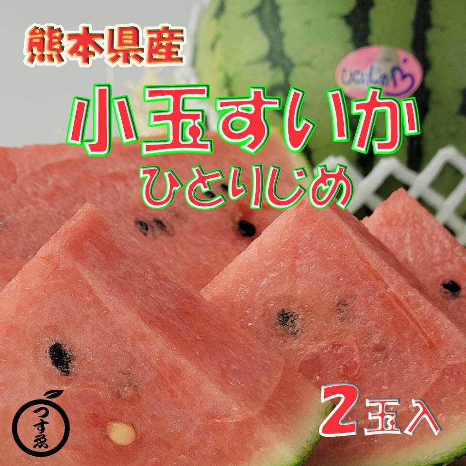 【熊本県産　小玉すいか　ひとりじめ　2玉入】父の日おすすめ　小玉西瓜　ひとりじめすいか　ひとりじめスイカ　高糖度　甘い　贈り物　贈答品　父の日　プレゼント　フルーツギフト　御中元　お中元　送料無料　熊本すいか