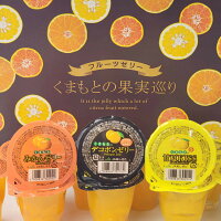 父の日・御中元等の配送日時指定を承ります【くまもとの果実巡り 130g×12個入】デコポンゼリー みかんゼリー フルーツゼリー 熊本県産 JAあしきた デコポン 甘夏 ゼリー詰め合わせ 詰合せ 贈り物 贈答用 プレゼント ゼリー
