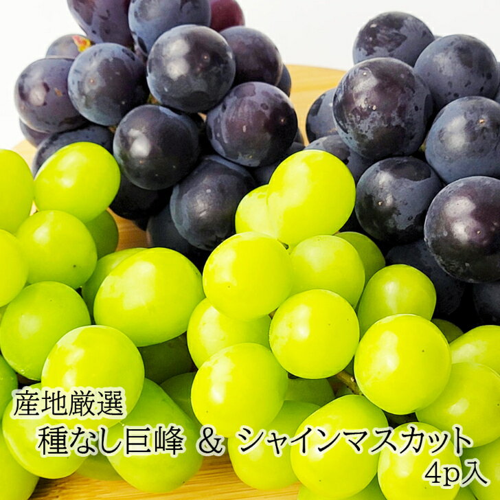 熊本県産・福岡県産・山梨県産・長野県産のぶどうのセットです たねなし巨峰 シャインマスカット 食べ比べセット お中元 御中元 送料無料 フルーツギフト フルーツセット 通販 藤稔②粒ぶどう 箱込み1.2kg送料込み