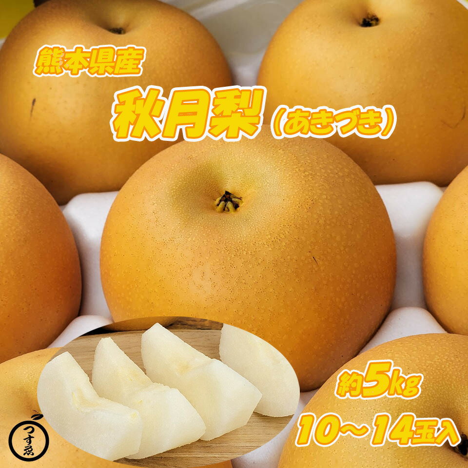 【熊本県産　あきづき梨　約5k　10〜14玉入】熊本県産　あきづき　吉野　荒尾　八代　熊本なし　幸水　豊水　新高　秋麗　しゅうれい　高糖度　希少フルーツギフト　フルーツセット