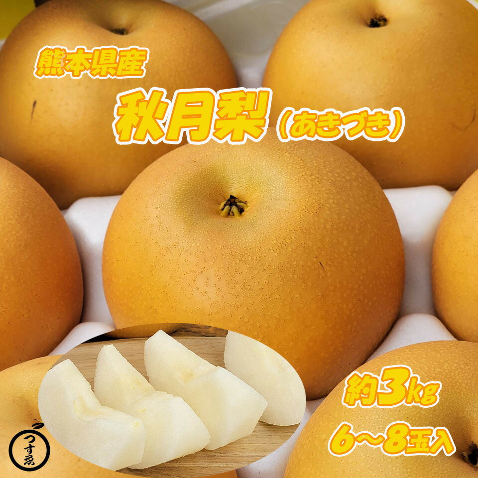 予約受付中【熊本県産　あきづき梨　約3k　6〜8玉入】9月中旬頃からの発送熊本県産　あきづき　吉野　荒尾　八代　幸水　豊水　新高　秋麗　しゅうれい　希少　贈答用　贈り物　フルーツギフト　フルーツセット