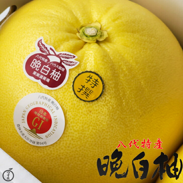 【熊本県　八代特産　晩白柚　1玉入】秀品　3L〜2Lサイズ　熊本県　八代　吉野　特産　晩白柚　柑橘　柑橘セット　ばんぺいゆ　1玉入　ご贈答用　御歳暮　御年賀　化粧箱入　送料無料のサムネイル