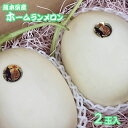 ご予約承り中【熊本県産 ホームランメロン 2玉入】母の日おすすめ 肥後 グリーン 高糖度 贈答用 御中元 旬のメロン フルーツギフト フルーツセット 送料無料 ...