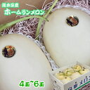 ご予約承り中【熊本県産 ホームランメロン 4玉~6玉入 約5k】母の日おすすめ 肥後 グリーン 高糖度 贈答用 御中元 旬のメロン フルーツギフト フルーツセッ...