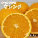 【オーストラリア産 オレンジ 72~88玉】ネーブルオレンジ バレンシアオレンジ 大玉 オレンジジュース フレッシュジュース 送料無料(4)
