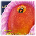 ご予約承り中【熊本県産 完熟マンゴー 1玉入 or 2玉入 化粧箱】くまもとマンゴー 3L 2L フルーツ詰め合わせ 詰合せ ギフト 夏ギフト フルーツギフト ...