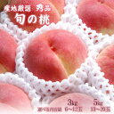 御中元おすすめ 【産地厳選 旬の桃 約3kg or 約5kg】ご予約承り中 桃 白桃 白鳳 なつっこ 日川白桃 川中島白桃 あかつき等 熊本 福岡 岡山 和歌山 山梨 長野