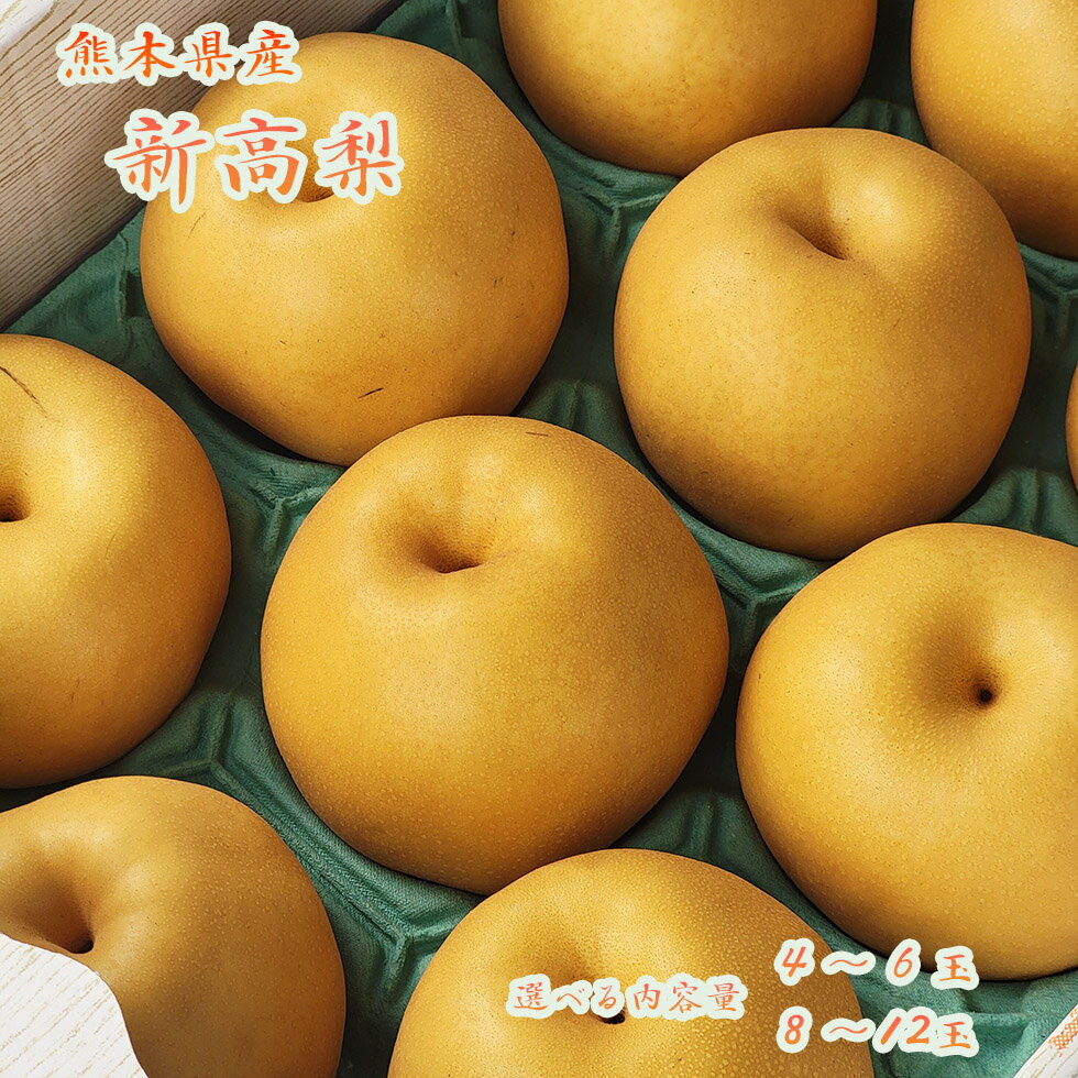 【熊本県産　新高梨　大玉　8〜10玉入　約5kg】荒尾梨　吉野梨　熊本　八代　吉野　荒尾　当店おすすめ　フルーツギフト　なし　梨　ジャンボ梨　熊本梨　新高梨のサムネイル