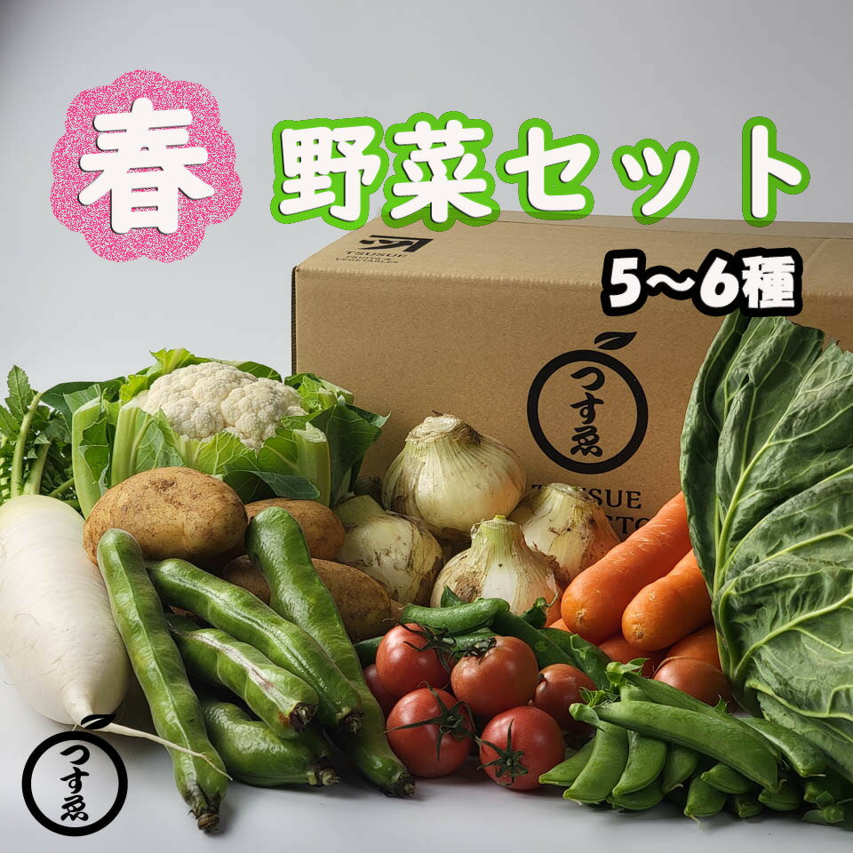 【春野菜セット　5〜6種】新たまねぎ　新じゃがいも　空豆　スナップえんどう　塩トマト　春キャベツ　早生キャベツ　アスパラ　菜の花　フルーツトマト　カリフラワーなど 旬の野菜　詰め合わせ　美味しい　採れたて　市場直送　厳選　九州産　熊本県産