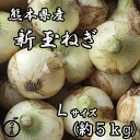 楽天津末フルーツストア【熊本県産　新玉ねぎ　Lサイズ　5k入】熊本県産の新玉葱をお届けいたします　小島　天草　サラダ　甘い　新鮮　そのまま　贈り物　血液　サラサラ　春野菜　新たまねぎ　新タマネギ　送料無料