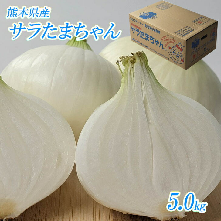 【熊本県産 サラたまちゃん 秀品　L〜M　5.0k】熊本県産サラたまちゃん　サラダ玉ねぎ　新玉ねぎ　サラダたまねぎ　サラダ玉葱　新たまねぎ　春野菜　JAあしきたのサムネイル