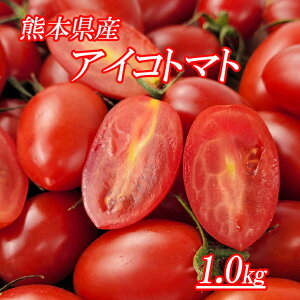 【熊本県産　アイコトマト　1k】熊本県産のアイコトマトをお届けいたします。ミニトマト　フルーツトマト　夏野菜　トマト　送料無料　お歳暮　お野菜セット　熊本トマト