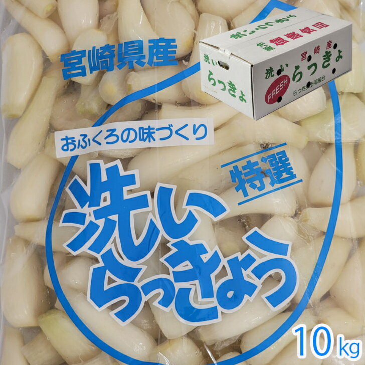 商品情報名称洗いらっきょう産地名国内産(宮崎県産)内容量10k(1k×10袋)保存方法冷蔵庫で保存備考青果物ですので到着後はできるだけ早く調理ください。またなるべく早めにお召し上がりください。予約受付中【宮崎県産　洗いらっきょう　10k】らっきょうの大産地宮崎県産の洗いらっきょう　おうちでらっきょう漬け　手作りらっきょう下処理済みの洗いらっきょうです　送料無料　らっきょう漬 初夏の時期にしかない、季節感たっぷりの野菜、宮崎県産のらっきょうです。特有の香りと風味をもち、栄養豊富ならっきょう。洗いらっきょうですので、すぐに漬けることができます。 宮崎県産洗いらっきょう　10k(1k×10袋入)※5月中旬頃より入荷次第順次発送いたします。下処理済みですので、お手軽にらっきょう漬けを作ることができます。度重なる、火山の噴火によって作られた宮崎県の都城盆地は、シラス台地であるため、水はけがよく、栄養素を多く含んでおります。また、盆地特有の寒暖差がらっきょうの身をひきしめています。ビタミンたっぷりでシャキシャキの食感、お好みの味に漬けてお楽しみください。※青果物ですので配送日時のご指定は、基本的にお受けできませんが、ご希望がございましたら、メールやお問い合わせフォームにてご相談ください。備考欄にご記入されてもかまいません。対応いたします。入荷状況によってはご希望に添えない場合もございますのでご了承ください。※パッケージは画像と異なる場合もございます。ご了承ください。※各種のしを承ります。ご希望の方は、のしの種類や、印字するお名前等を備考欄にご記入下さい。※クール便での配送となります。配送会社のご指定はお受けできません。 8