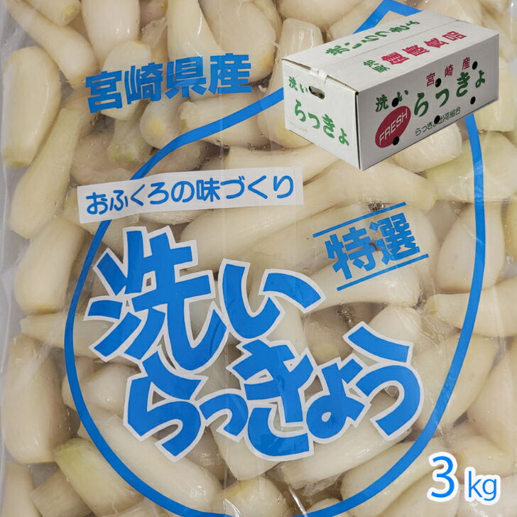 商品情報名称洗いらっきょう産地名国内産(宮崎県産)内容量3k(1k×3袋)保存方法冷蔵庫で保存備考青果物ですので到着後はできるだけ早く調理ください。またなるべく早めにお召し上がりください。予約受付中【宮崎県産　洗いらっきょう　3k】らっきょうの大産地宮崎県産の洗いらっきょう　おうちでらっきょう漬け　手作りらっきょう下処理済みの洗いらっきょうです　送料無料　らっきょう漬 初夏の時期にしかない、季節感たっぷりの野菜、宮崎県産のらっきょうです。特有の香りと風味をもち、栄養豊富ならっきょう。洗いらっきょうですので、すぐに漬けることができます。 宮崎県産洗いらっきょう　3k(1k×3袋入)※5月中旬頃から入荷次第順次発送下処理済みですので、お手軽にらっきょう漬けを作ることができます。度重なる、火山の噴火によって作られた宮崎県の都城盆地は、シラス台地であるため、水はけがよく、栄養素を多く含んでおります。また、盆地特有の寒暖差がらっきょうの身をひきしめています。ビタミンたっぷりでシャキシャキの食感、お好みの味に漬けてお楽しみください。※青果物ですので配送日時のご指定は、基本的にお受けできませんが、ご希望がございましたら、メールやお問い合わせフォームにてご相談ください。備考欄にご記入されてもかまいません。対応いたします。入荷状況によってはご希望に添えない場合もございますのでご了承ください。※パッケージは画像と異なる場合もございます。ご了承ください。※3kは当店の段ボール箱でのお届けとなります。※各種のしを承ります。ご希望の方は、のしの種類や、印字するお名前等を備考欄にご記入下さい。※クール便での配送となります。配送会社のご指定はお受けできません。 8