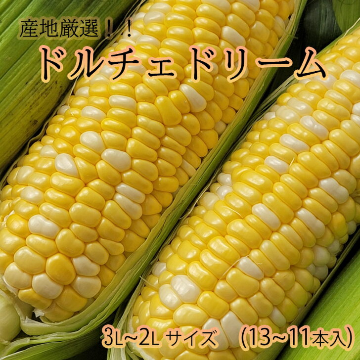スーパーセール10%off【産地厳選　ドルチェドリーム　7〜5本】5月中旬頃からの発送　熊本県産　長崎県産　とうもろこし　スイートコーン　焼きとうもろこし　送料無料　3L〜2Lサイズ　秀品のサムネイル