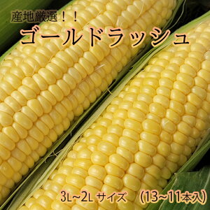 【産地厳選　ゴールドラッシュ　13〜11本】5月中旬頃より発送　熊本県産　長崎県産　とうもろこし　スイートコーン　焼きとうもろこし　送料無料　3L〜2Lサイズ　秀品