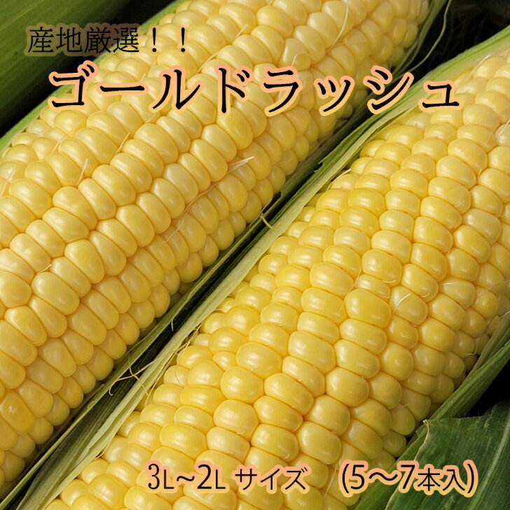 【産地厳選　ゴールドラッシュ　5〜7本】5月中旬頃からの発送　熊本県産　長崎県産　とうもろこし　スイートコーン　焼きとうもろこし　送料無料　3L〜2Lサイズ　秀品