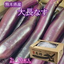 【熊本県産　大長茄子　2L　20本入】熊本県産の大長茄子をお届けいたします。大長なす　阿蘇　熊本市　なすび　大長ナス　茄子　　浅漬け　焼きなす　煮びたし　送料無料