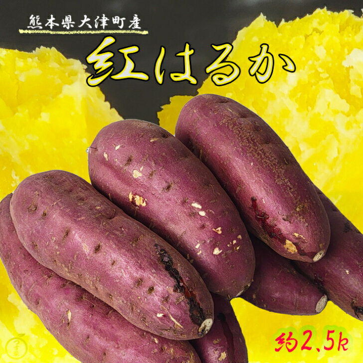 【熊本県大津町産　紅はるか　L　2,5kg】熊本県大津町産　紅はるか　さつまいも　熊本県産　大津町　薩摩芋　やきいも　Lサイズ　高糖度　秀品　贈り物にも喜ばれますよ　お野菜ギフト　お歳暮　御歳暮　熊本野菜　熊本さつまいも