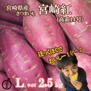 【宮崎県産　さつまいも　宮崎紅　2.5kg】宮崎県産　さつまいも　宮崎紅　高系14号　甘藷　2.5kg　L　秀品　お取り寄せ　ほっくほく　甘〜い　いも天　焼き芋