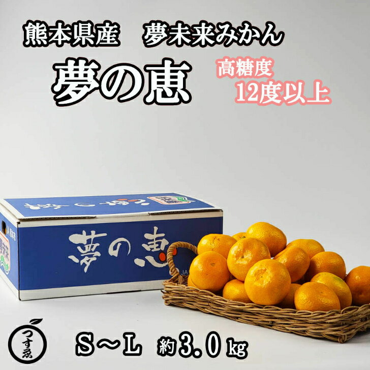 ご予約承り中【熊本県産　夢未来みかん　夢の恵　3.0kg】お歳暮におすすめ　JA熊本市の特選ブランド夢未来みかん夢の恵　糖度12℃以上　最新センサー選果機で厳選選果　温州みかん　熊本みかん　河内みかん　早生みかん　青島みかん　フルーツギフト